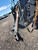 http://used.rdoequipment.com/getImageS2.cfm?imgID=11714756&filename=14_20210930_100428.jpg