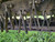 http://used.rdoequipment.com/getImageS2.cfm?imgID=11910029&filename=12_20211102_132117.jpg