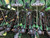 http://used.rdoequipment.com/getImageS2.cfm?imgID=11919894&filename=18_IMG_0844.jpg