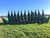 http://used.rdoequipment.com/getImageS2.cfm?imgID=11919884&filename=8_8.jpg