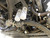 http://used.rdoequipment.com/getImageS2.cfm?imgID=11564192&filename=33_33.jpg