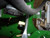 http://used.rdoequipment.com/getImageS2.cfm?imgID=12117032&filename=31_31.jpg