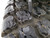 http://used.rdoequipment.com/getImageS2.cfm?imgID=12372918&filename=19_20220131_135848.jpg