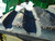 http://used.rdoequipment.com/getImageS2.cfm?imgID=12163355&filename=16_23.jpg