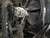 http://used.rdoequipment.com/getImageS2.cfm?imgID=12210874&filename=20_20.jpg