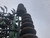 http://used.rdoequipment.com/getImageS2.cfm?imgID=12087493&filename=16_IMG_2235.jpg