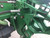 http://used.rdoequipment.com/getImageS2.cfm?imgID=12087488&filename=11_IMG_2227.jpg