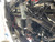 http://used.rdoequipment.com/getImageS2.cfm?imgID=11915398&filename=14_13.jpg