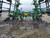 http://used.rdoequipment.com/getImageS2.cfm?imgID=12745698&filename=5_20220405_140412.jpg