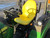 http://used.rdoequipment.com/getImageS2.cfm?imgID=12585537&filename=9_8b.jpg