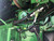 http://used.rdoequipment.com/getImageS2.cfm?imgID=12006156&filename=29_IMG_2060.jpg