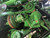http://used.rdoequipment.com/getImageS2.cfm?imgID=12006155&filename=28_IMG_2059.jpg