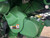 http://used.rdoequipment.com/getImageS2.cfm?imgID=12006150&filename=23_IMG_2054.jpg