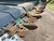 http://used.rdoequipment.com/getImageS2.cfm?imgID=13157419&filename=46_49b.jpg