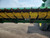 http://used.rdoequipment.com/getImageS2.cfm?imgID=13157409&filename=36_41.jpg