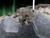 http://used.rdoequipment.com/getImageS2.cfm?imgID=12779632&filename=29_31.jpg