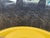http://used.rdoequipment.com/getImageS2.cfm?imgID=13683118&filename=9_9.jpg