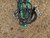 http://used.rdoequipment.com/getImageS2.cfm?imgID=12530419&filename=13_IMG_6750.jpg