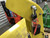 http://used.rdoequipment.com/getImageS2.cfm?imgID=12759340&filename=18_18.jpg