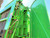 http://used.rdoequipment.com/getImageS2.cfm?imgID=12728002&filename=30_30.jpg