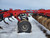 http://used.rdoequipment.com/getImageS2.cfm?imgID=12706291&filename=3_3.jpg