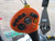 http://used.rdoequipment.com/getImageS2.cfm?imgID=14068007&filename=42_IMG_6993.jpg