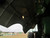 http://used.rdoequipment.com/getImageS2.cfm?imgID=14067995&filename=33_IMG_6984.jpg