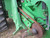 http://used.rdoequipment.com/getImageS2.cfm?imgID=14067973&filename=14_IMG_6964.jpg