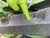 http://used.rdoequipment.com/getImageS2.cfm?imgID=12763406&filename=19_18.jpg
