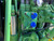 http://used.rdoequipment.com/getImageS2.cfm?imgID=12375234&filename=10_10.jpg