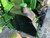 http://used.rdoequipment.com/getImageS2.cfm?imgID=12483442&filename=19_19.jpg