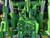 http://used.rdoequipment.com/getImageS2.cfm?imgID=12483434&filename=11_11.jpg