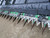 http://used.rdoequipment.com/getImageS2.cfm?imgID=12139415&filename=17_IMG_1900.jpg