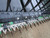 http://used.rdoequipment.com/getImageS2.cfm?imgID=12139414&filename=16_IMG_1899.jpg