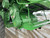 http://used.rdoequipment.com/getImageS2.cfm?imgID=12271451&filename=17_17.jpg