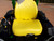 http://used.rdoequipment.com/getImageS2.cfm?imgID=11685836&filename=18_100_6992.jpg