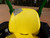http://used.rdoequipment.com/getImageS2.cfm?imgID=11685837&filename=17_100_6991.jpg