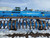 http://used.rdoequipment.com/getImageS2.cfm?imgID=12706156&filename=15_20220401_113804.jpg