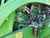 http://used.rdoequipment.com/getImageS2.cfm?imgID=12707898&filename=14_14.jpg