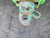 http://used.rdoequipment.com/getImageS2.cfm?imgID=12707893&filename=9_9.jpg