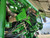 https://api.rdoequipment.com/api/EquipmentImage?imgID=13087730&filename=21_21.jpg