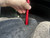 http://used.rdoequipment.com/getImageS2.cfm?imgID=12763174&filename=19_19.jpg