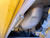https://api.rdoequipment.com/api/EquipmentImage?imgID=16940825&filename=22_X511369---27.jpg
