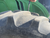 https://api.rdoequipment.com/api/EquipmentImage?imgID=13683257&filename=25_26.jpg