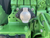 https://api.rdoequipment.com/api/EquipmentImage?imgID=13683239&filename=11_12.jpg