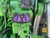 https://api.rdoequipment.com/api/EquipmentImage?imgID=13683237&filename=9_10.jpg