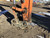 https://api.rdoequipment.com/api/EquipmentImage?imgID=12550664&filename=8_AF443C19-BCF3-4EA8-A4A6-ED67F2FC3E75.jpg