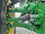 https://api.rdoequipment.com/api/EquipmentImage?imgID=14283207&filename=9_X641527---09.jpg