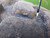 http://used.rdoequipment.com/getImageS2.cfm?imgID=13282962&filename=10_14.jpg