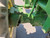 https://api.rdoequipment.com/api/EquipmentImage?imgID=15593601&filename=9_X849850---09.jpg